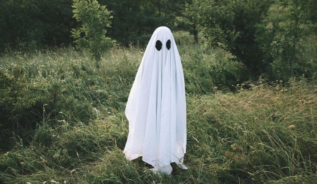 A ghost in a field.