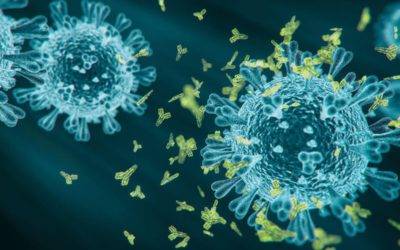Two Strains of Coronavirus Discovered