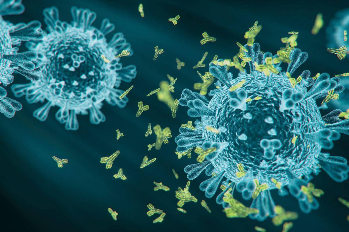 Two Strains of Coronavirus Found